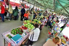 green market_palic_6